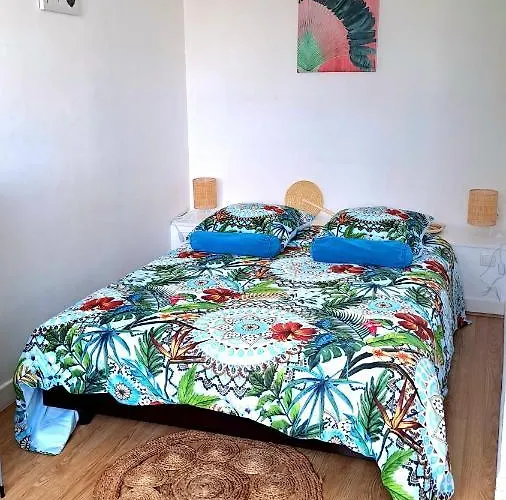 Appartement Le Gambetta